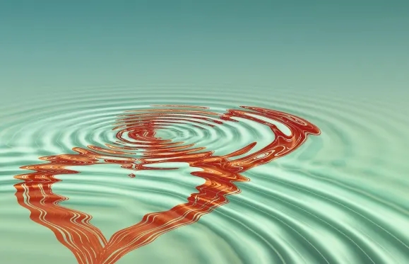 지드이오엔 카지노 지원